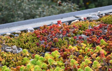 the cost of Tong Norton green roof installation