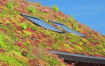 Tong Norton living roof systems